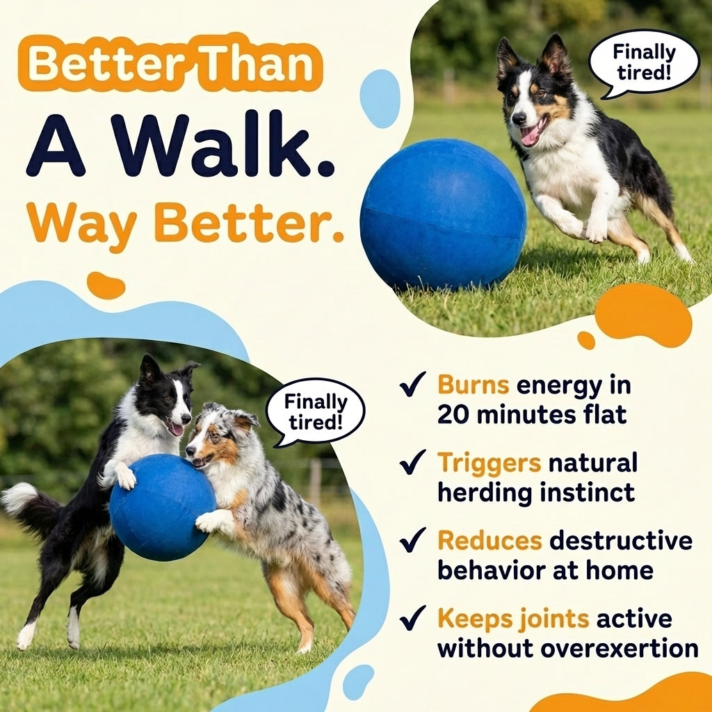 Ruckus™ Herding Ball