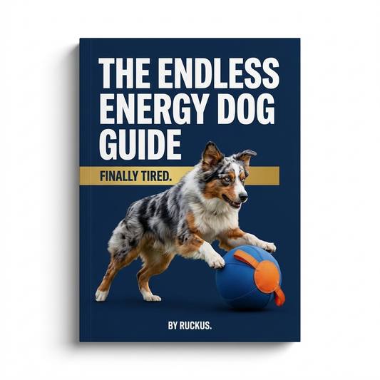 Finally Tired: The Endless Energy Dog Guide